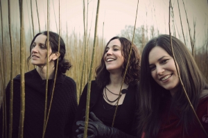 thehenrygirls