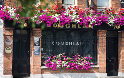 coughlans cork