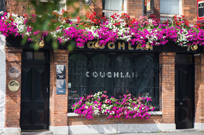 coughlans cork