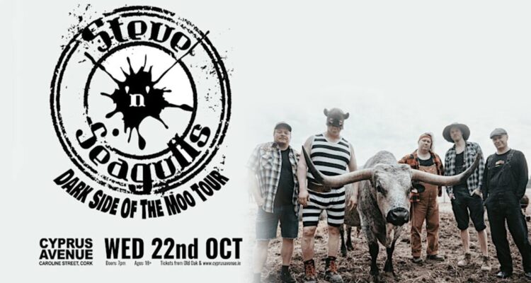 Steve_N_Seagulls_at_Cyprus_Avenue_1200x628